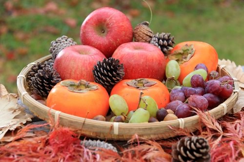 秋のフルーツの画像